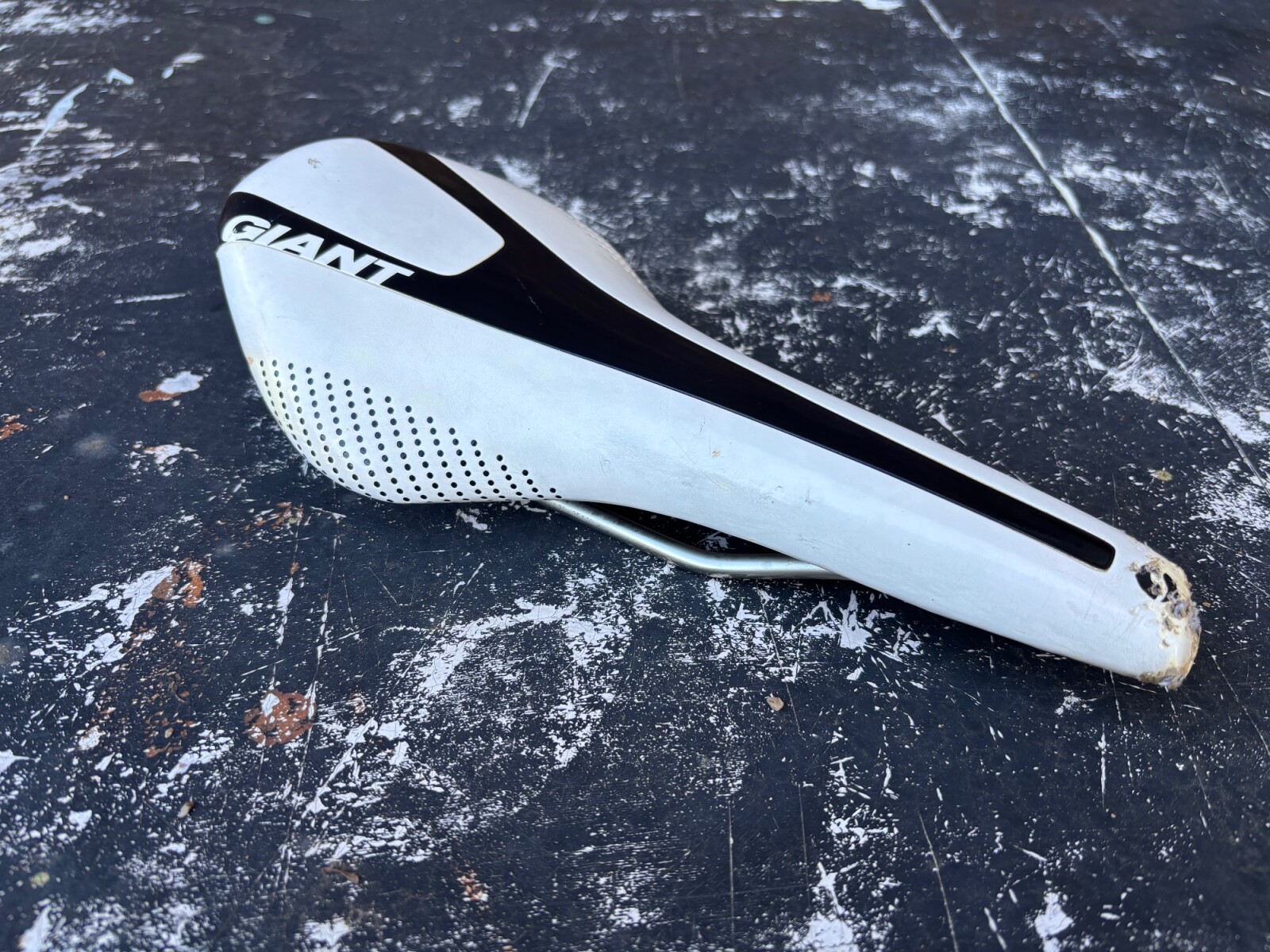 Giant Contact Saddle