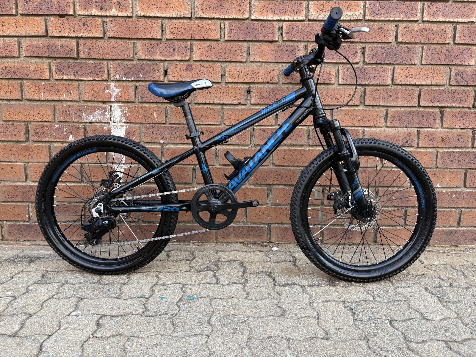Avalanche D-Max 20 Kids Bike